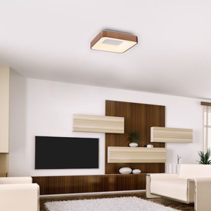 Rabalux - LED Ceiling light CARMELA LED/30W/230V 40x40 cm