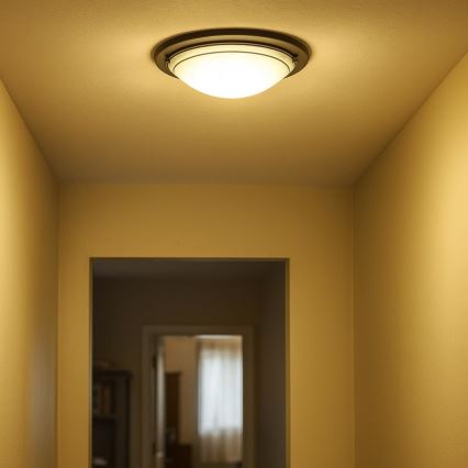 Rabalux - Ceiling light, 2× E27 (max. 60W), 230V, Ø 38 cm