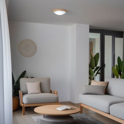 Rabalux - Ceiling light 1xE27/60W/230V d. 30 cm