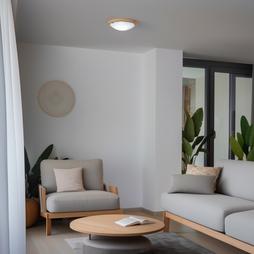 Rabalux - Ceiling light 1xE27/60W/230V d. 30 cm