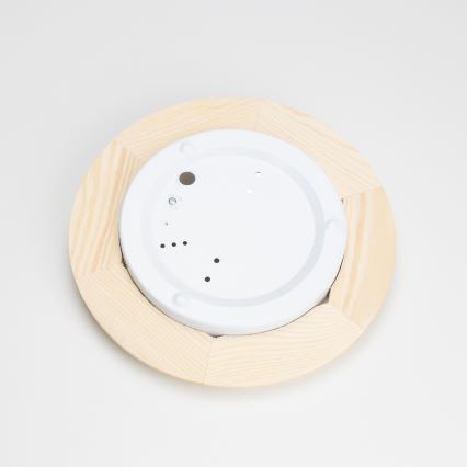 Rabalux - Ceiling light 1xE27/60W/230V d. 30 cm