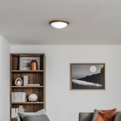 Rabalux - Ceiling light 1xE27/60W/230V d. 30 cm