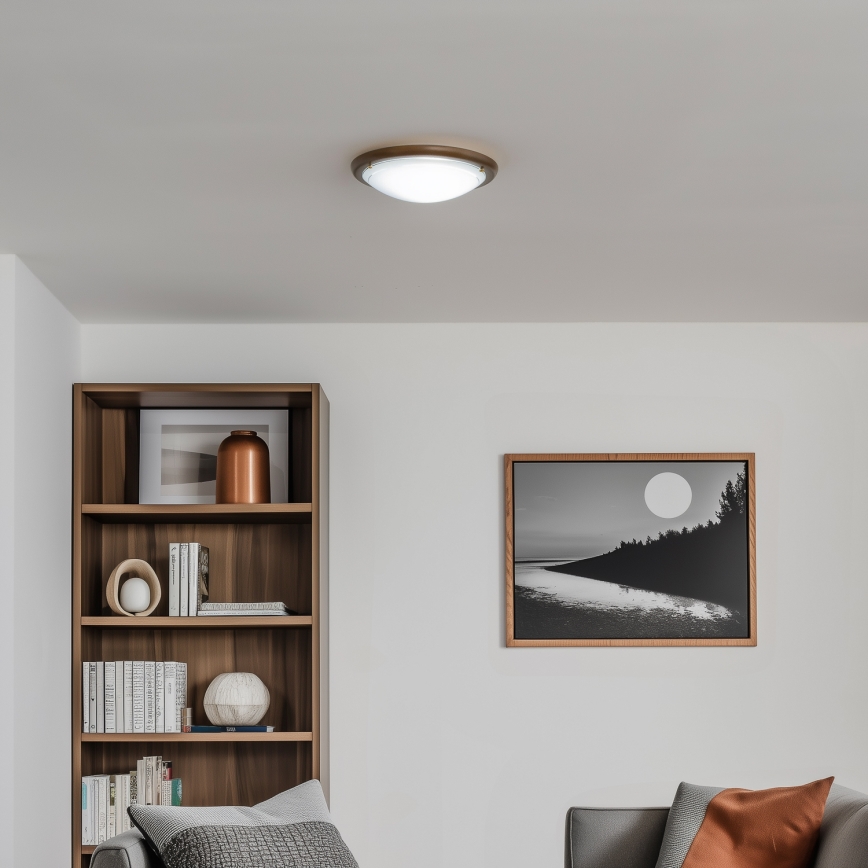 Rabalux - Ceiling light 1xE27/60W/230V d. 30 cm