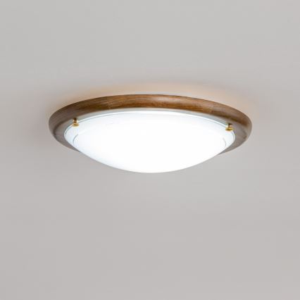 Rabalux - Ceiling light 1xE27/60W/230V d. 30 cm