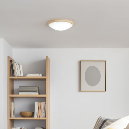 Rabalux - Ceiling light 2xE27/60W/230V d. 38 cm