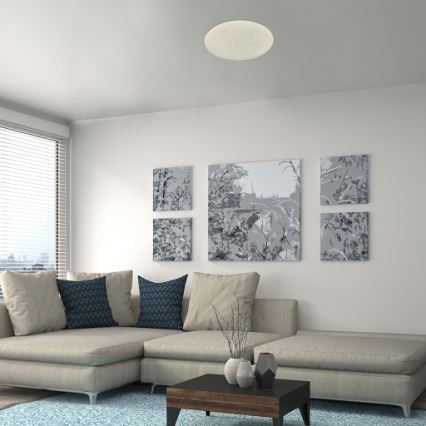 Rabalux - LED Dimmable ceiling light LED/24W/230V Wi-Fi 3000-6500K + remote control