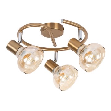 Rabalux 5549 - Spotlight HOLLY 3xE14/40W/230V golden