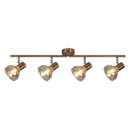 Rabalux 5550 - Spotlight HOLLY 4xE14/40W/230V golden