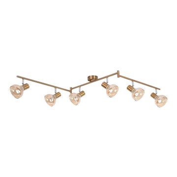 Rabalux 5553 - Spotlight HOLLY 6xE14/40W/230V golden