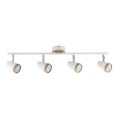 Rabalux 5567 - LED spotlight KAREN 4xLED/4W/230V
