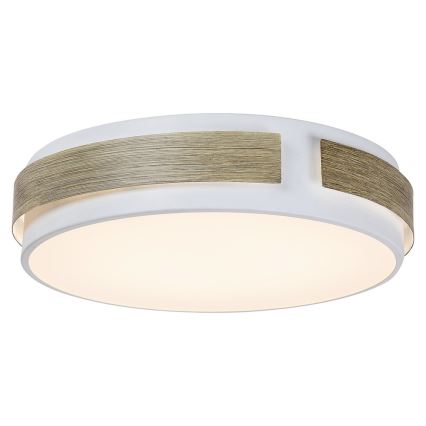 Rabalux - Dimmable LED ceiling light, 24W/230V, Ø 42 cm