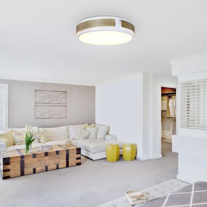 Rabalux - Dimmable LED ceiling light, 24W/230V, Ø 42 cm