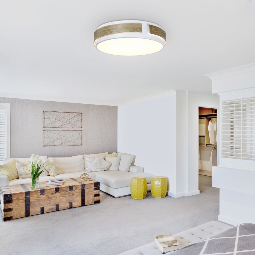 Rabalux - Dimmable LED ceiling light, 24W/230V, Ø 42 cm