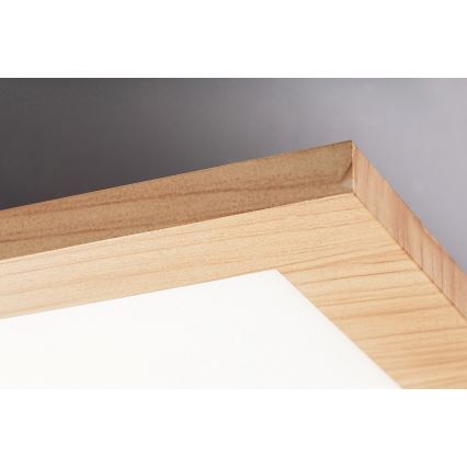 Rabalux - LED Surface-mounted panel LED/40W/230V 4000K