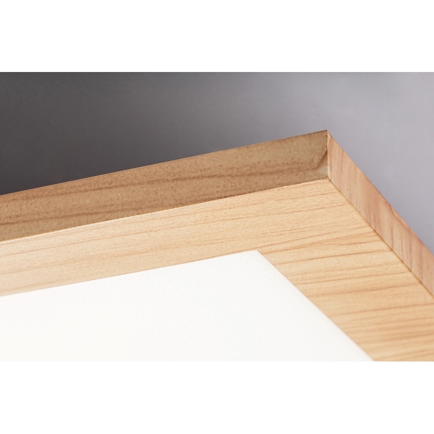 Rabalux - LED Surface-mounted panel LED/40W/230V 4000K