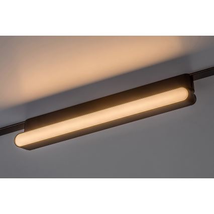 Rabalux - LED Ceiling light for 1-phase rail system LED/16W/230V 3000K 33 cm black