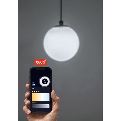 Rabalux - LED Dimmable chandelier on a string for 1-phase rail system LED/5W/24V 2700-5500K Wi-Fi Tuya black