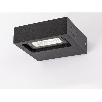 Rabalux - LED Outdoor wall light LED/7W/230V IP65