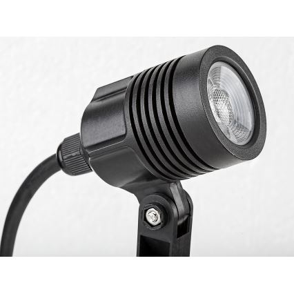 Rabalux - LED Outdoor lamp LED/3W/230V IP65
