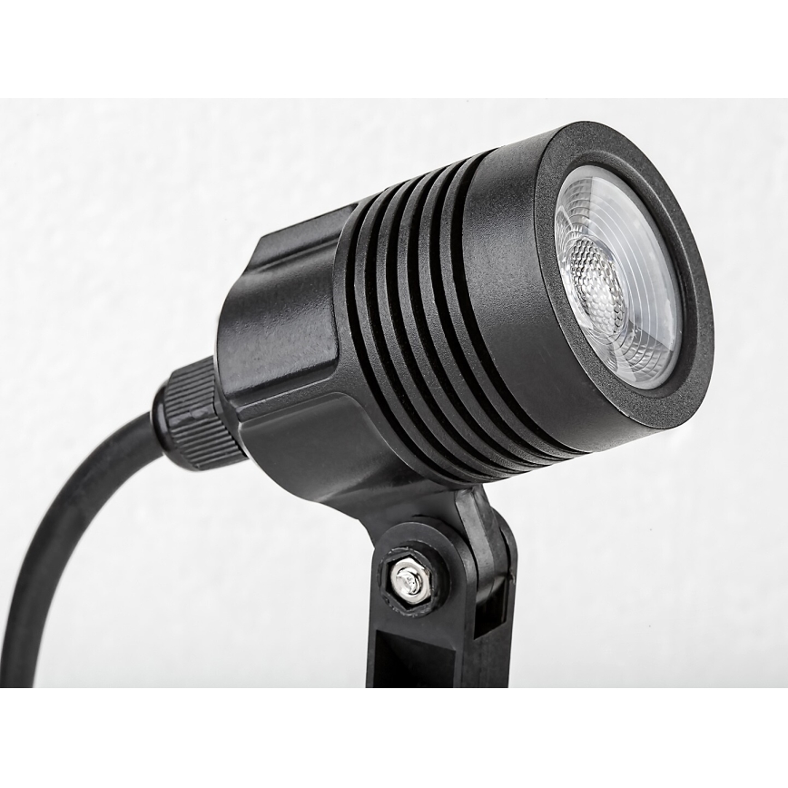 Rabalux - LED Outdoor lamp LED/3W/230V IP65