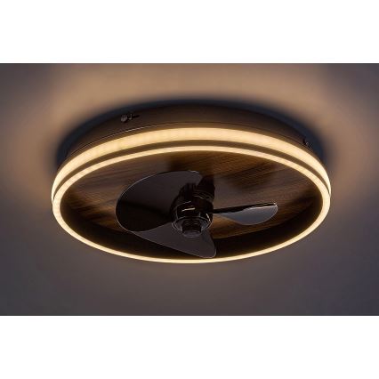 Rabalux - LED Dimmable ceiling light with a fan LED/30W/230V 3000-6500K + remote control