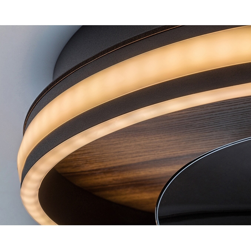 Rabalux - LED Dimmable ceiling light with a fan LED/30W/230V 3000-6500K + remote control