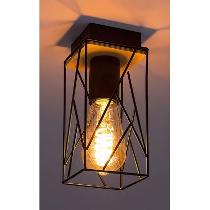 Rabalux - Ceiling light 1xE27/40W/230V