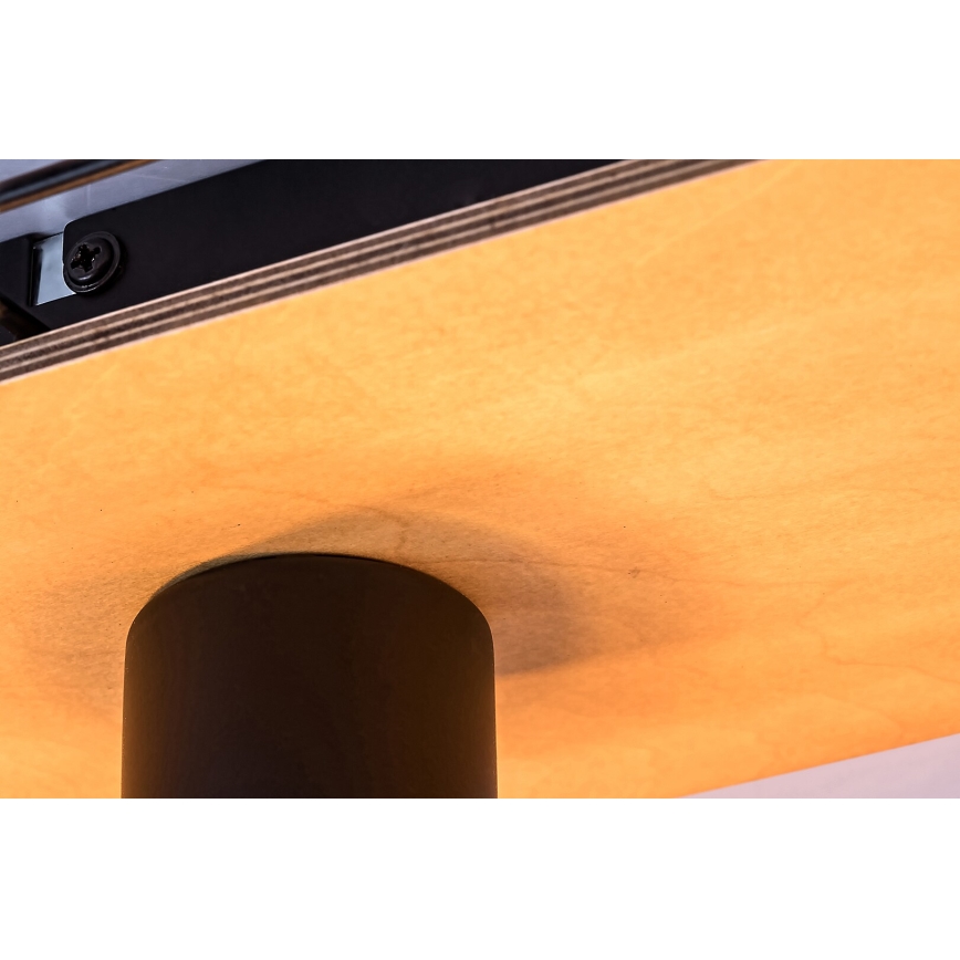 Rabalux - Ceiling light 3xE27/40W/230V 18x44 cm