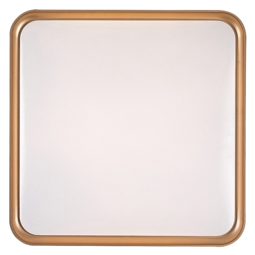 Rabalux - LED Ceiling Light LED/26W/230V 3000K 39.5x39.5 cm