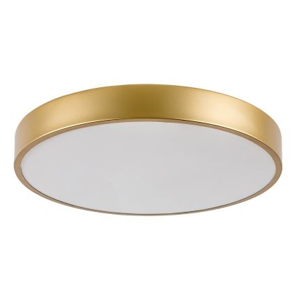 Rabalux - LED Ceiling light LED/36W/230V 3000K