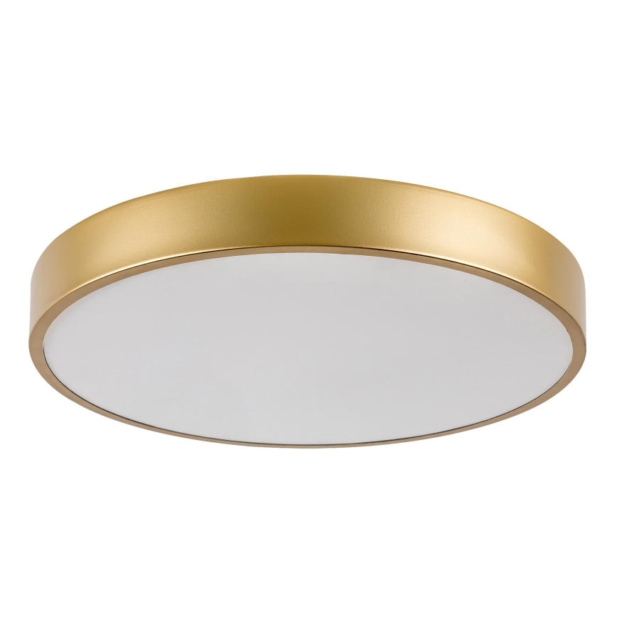 Rabalux - LED Ceiling light LED/36W/230V 3000K