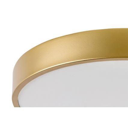 Rabalux - LED Ceiling light LED/36W/230V 3000K