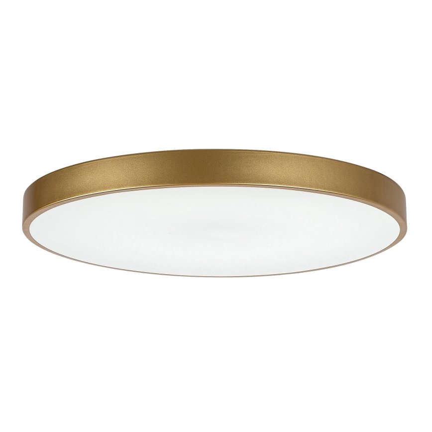 Rabalux - LED Dimmable ceiling light LED/60W/230V 3000-6000K + remote control