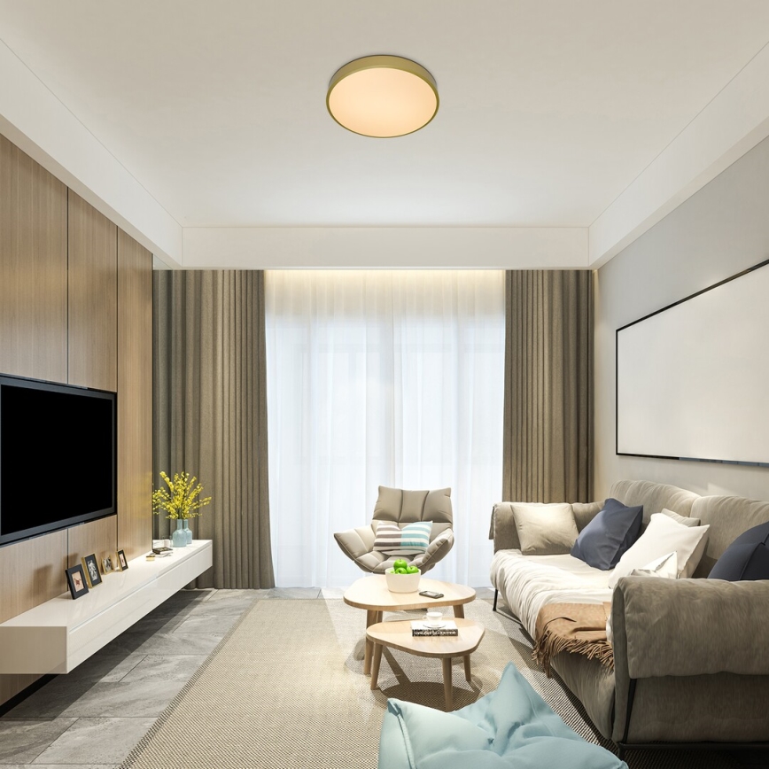 Rabalux - Dimmable LED Ceiling Light LED/60W/230V 3000-6000K with Remote Control, Ø 60 cm