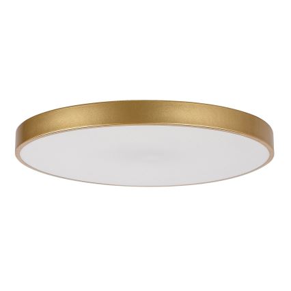Rabalux - Dimmable LED Ceiling Light LED/60W/230V 3000-6000K with Remote Control, Ø 60 cm