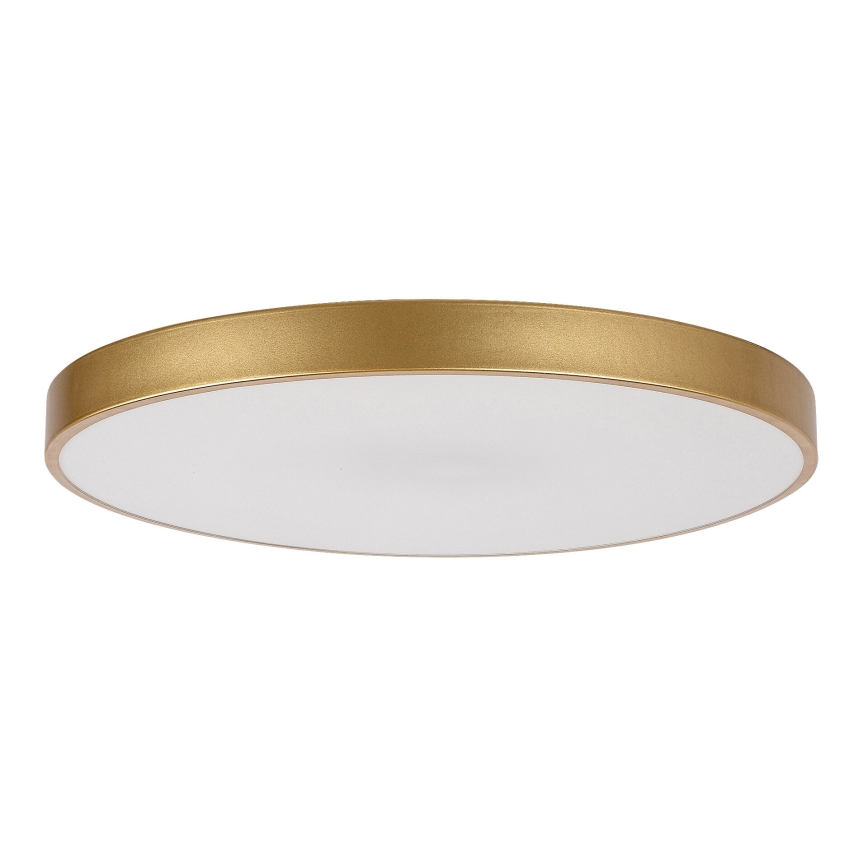 Rabalux - Dimmable LED Ceiling Light LED/60W/230V 3000-6000K with Remote Control, Ø 60 cm