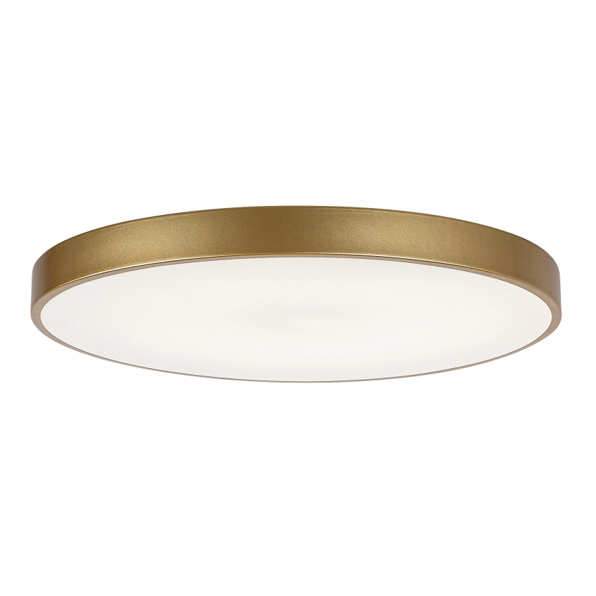 Rabalux - Dimmable LED Ceiling Light LED/60W/230V 3000-6000K with Remote Control, Ø 60 cm