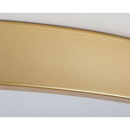 Rabalux - Dimmable LED Ceiling Light LED/60W/230V 3000-6000K with Remote Control, Ø 60 cm