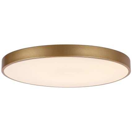Rabalux - Dimmable LED Ceiling Light LED/60W/230V 3000-6000K with Remote Control, Ø 60 cm