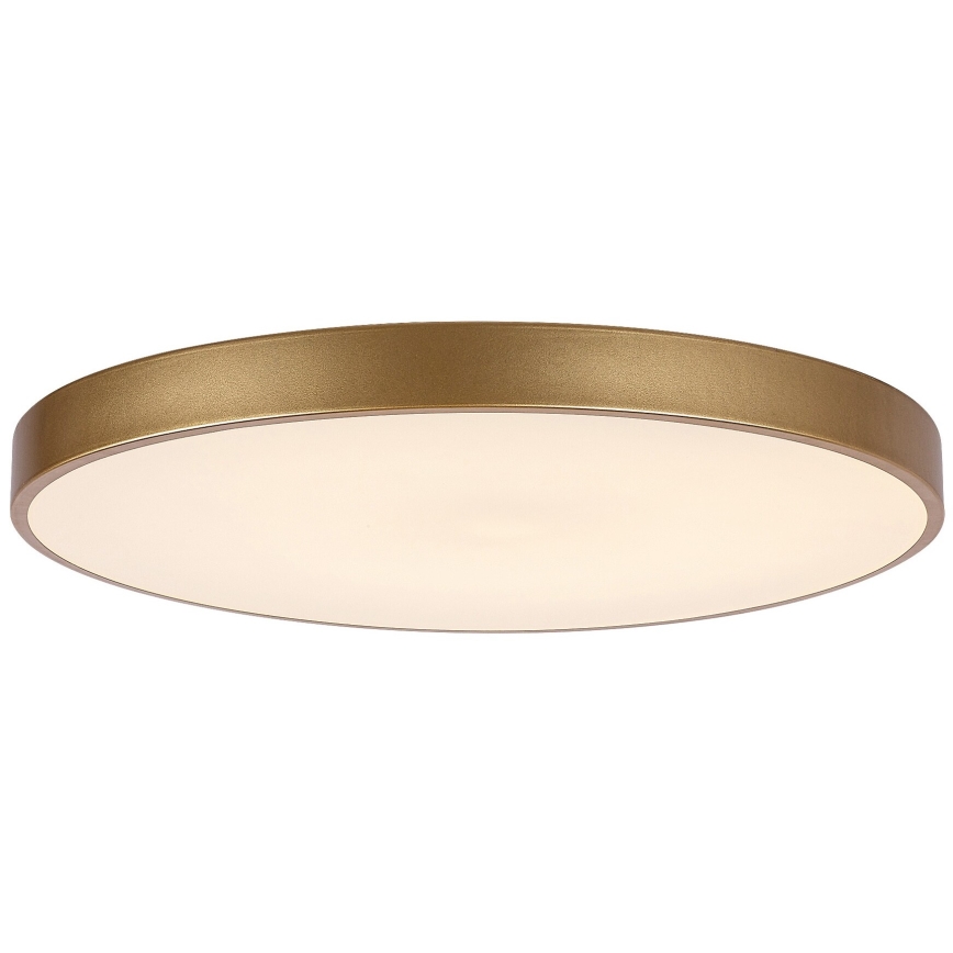 Rabalux - Dimmable LED Ceiling Light LED/60W/230V 3000-6000K with Remote Control, Ø 60 cm