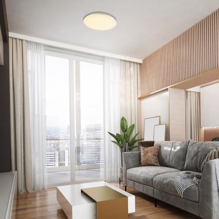Rabalux - LED Ceiling light LED/24W/230V 4000K d. 40 cm