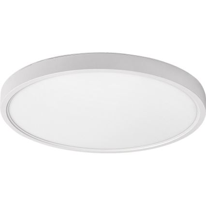 Rabalux - LED Ceiling light LED/24W/230V 4000K d. 30 cm white