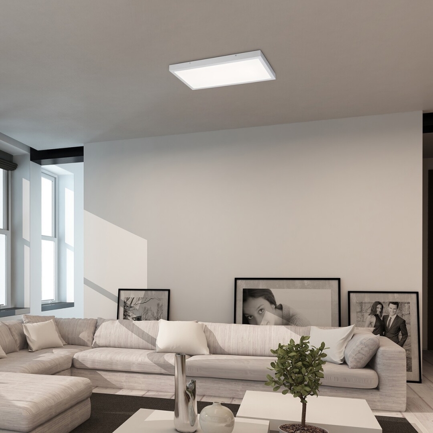Rabalux - LED Surface-mounted panel LED/24W/230V 4000K 60x30 cm