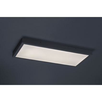 Rabalux - LED Surface-mounted panel LED/24W/230V 4000K 60x30 cm