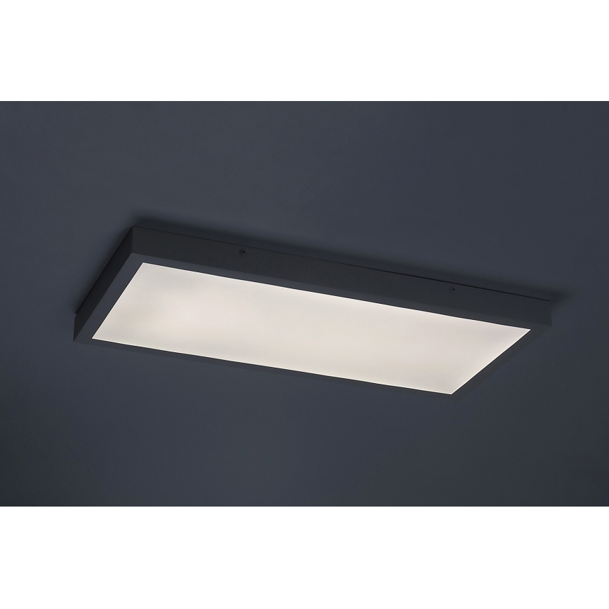 Rabalux - LED Surface-mounted panel LED/24W/230V 4000K 60x30 cm