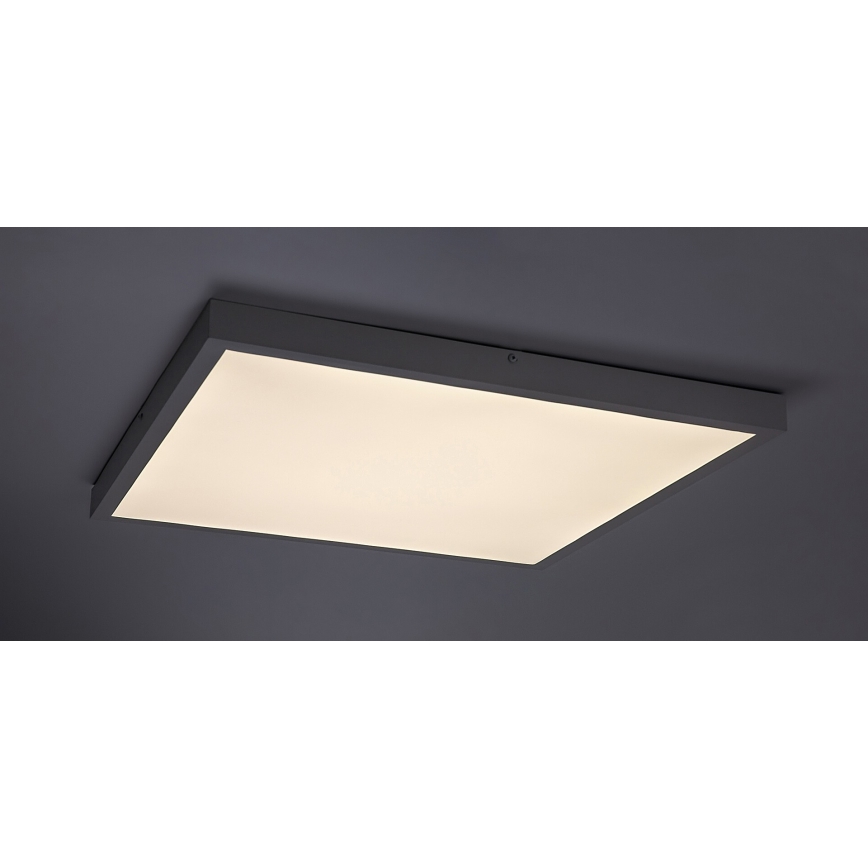 Rabalux - LED Surface-mounted panel LED/40W/230V 4000K 60x60 cm