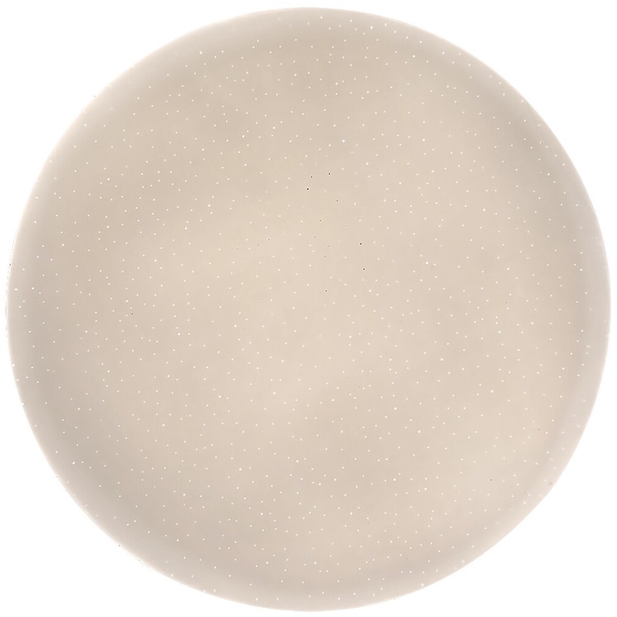 Rabalux - LED Ceiling light LED/12W/230V 4000K 25 cm