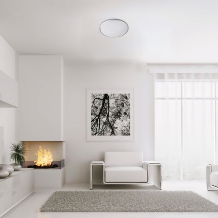 Rabalux - LED Ceiling light LED/18W/230V 4000K silver 27 cm
