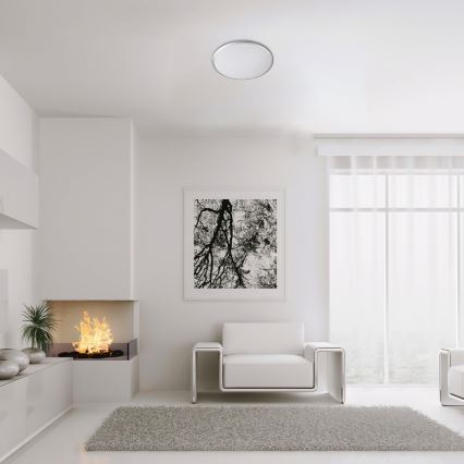 Rabalux - LED Ceiling light LED/45W/230V 4000K silver 48 cm