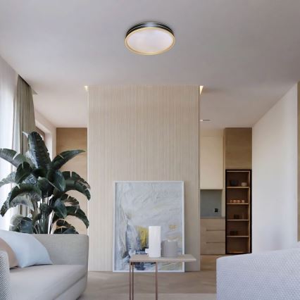 Rabalux - Dimmable LED ceiling light LED/24W/230V 3000-6500K Ø 39 cm + remote control